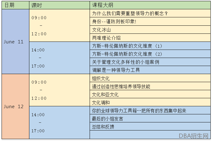 跨文化领导力