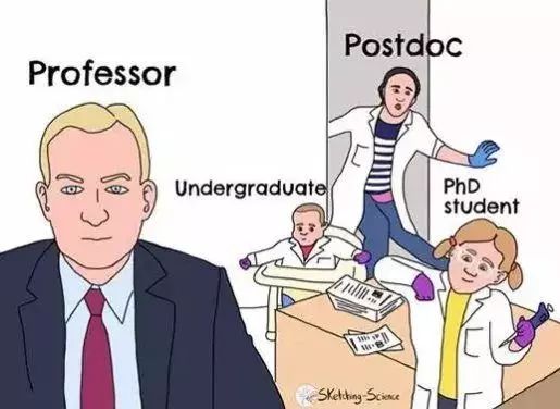 今天，我们来聊聊PhD是个什么鬼：一个PhD的狗血日常