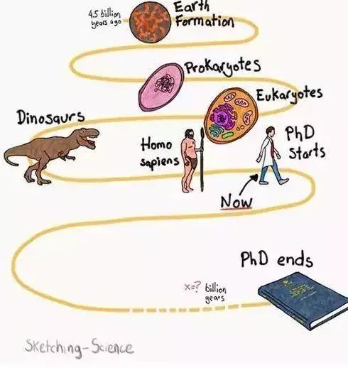 今天，我们来聊聊PhD是个什么鬼：一个PhD的狗血日常